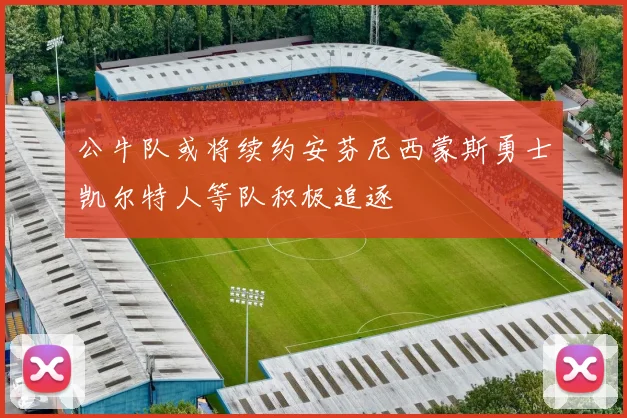 公牛队或将续约安芬尼西蒙斯勇士凯尔特人等队积极追逐