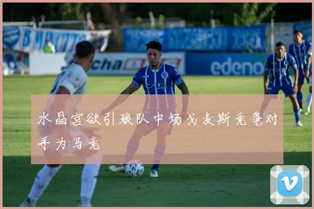 水晶宫欲引狼队中场戈麦斯竞争对手为马竞